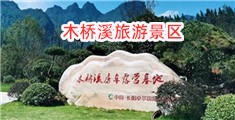 操黑丝女人逼逼